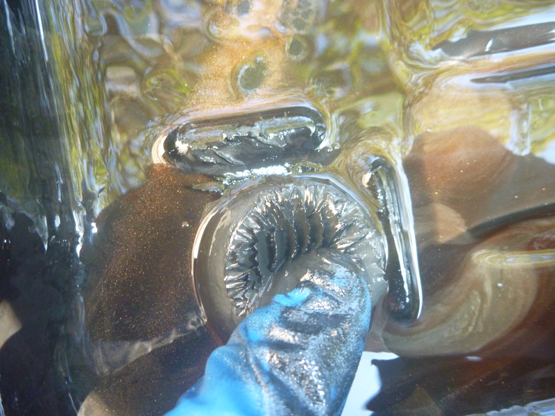 Illustration for article titled Ferrofluid Transmission Fluid Change